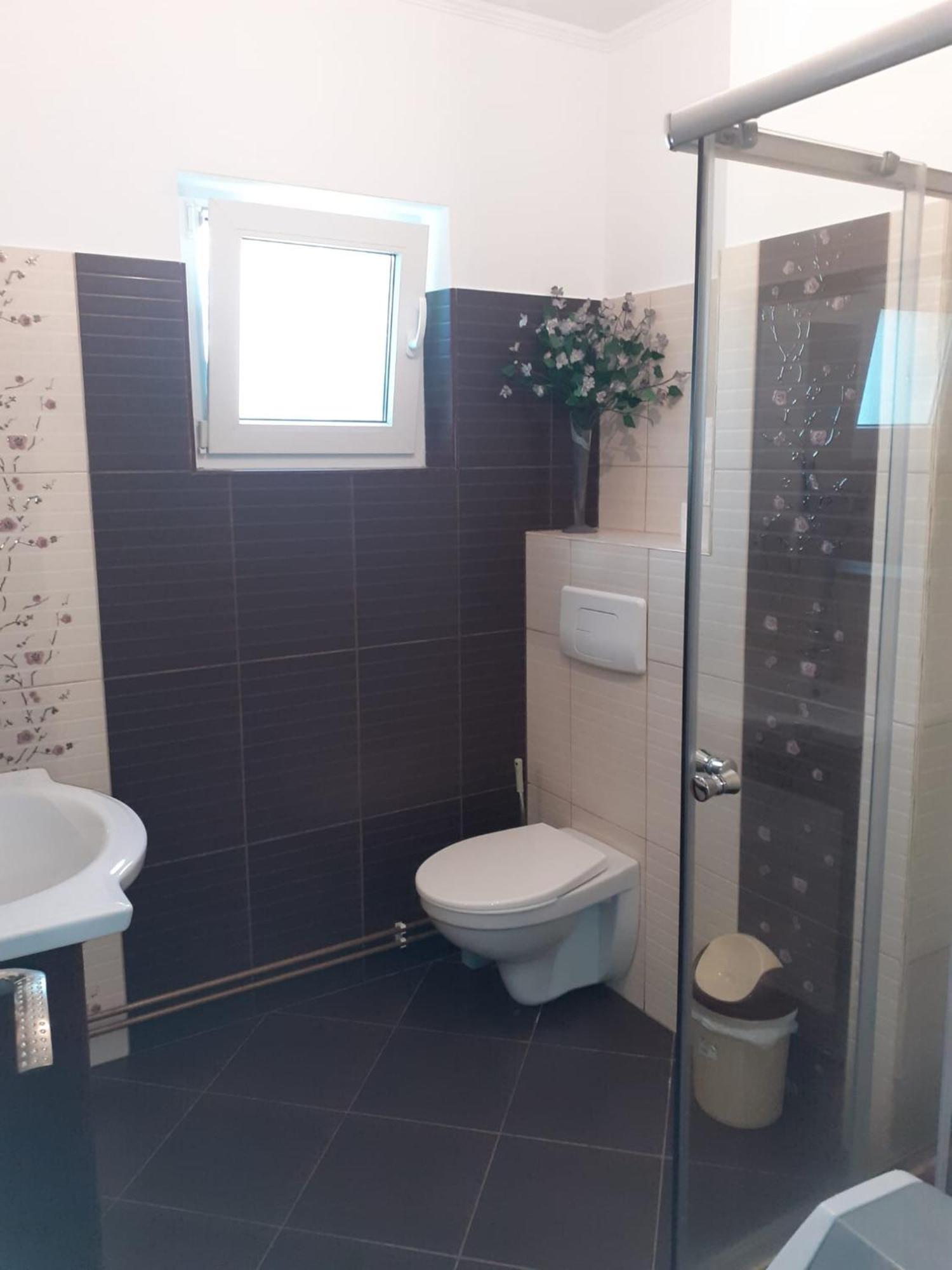 Apartament Cu 3 Camere La Poala Muntilor Fagaras Victoria  Exterior foto