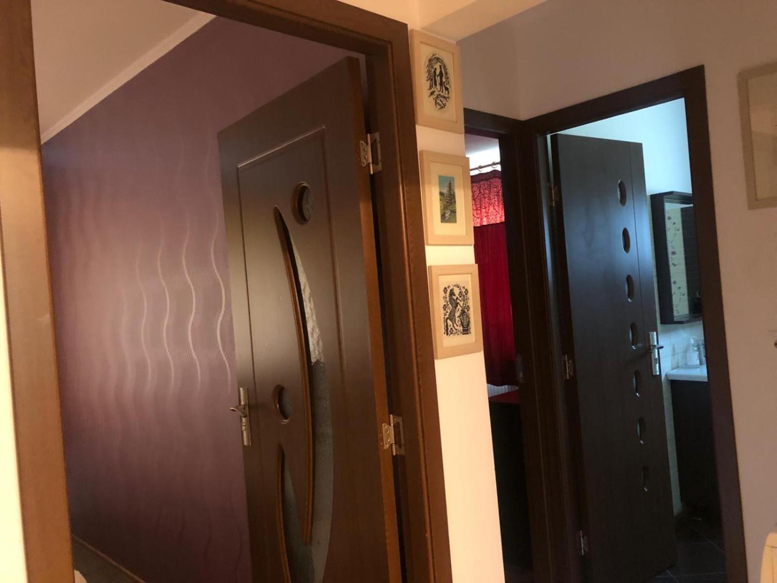 Apartament Cu 3 Camere La Poala Muntilor Fagaras Victoria  Exterior foto