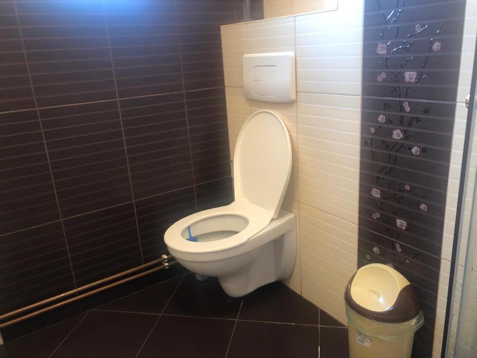 Apartament Cu 3 Camere La Poala Muntilor Fagaras Victoria  Exterior foto