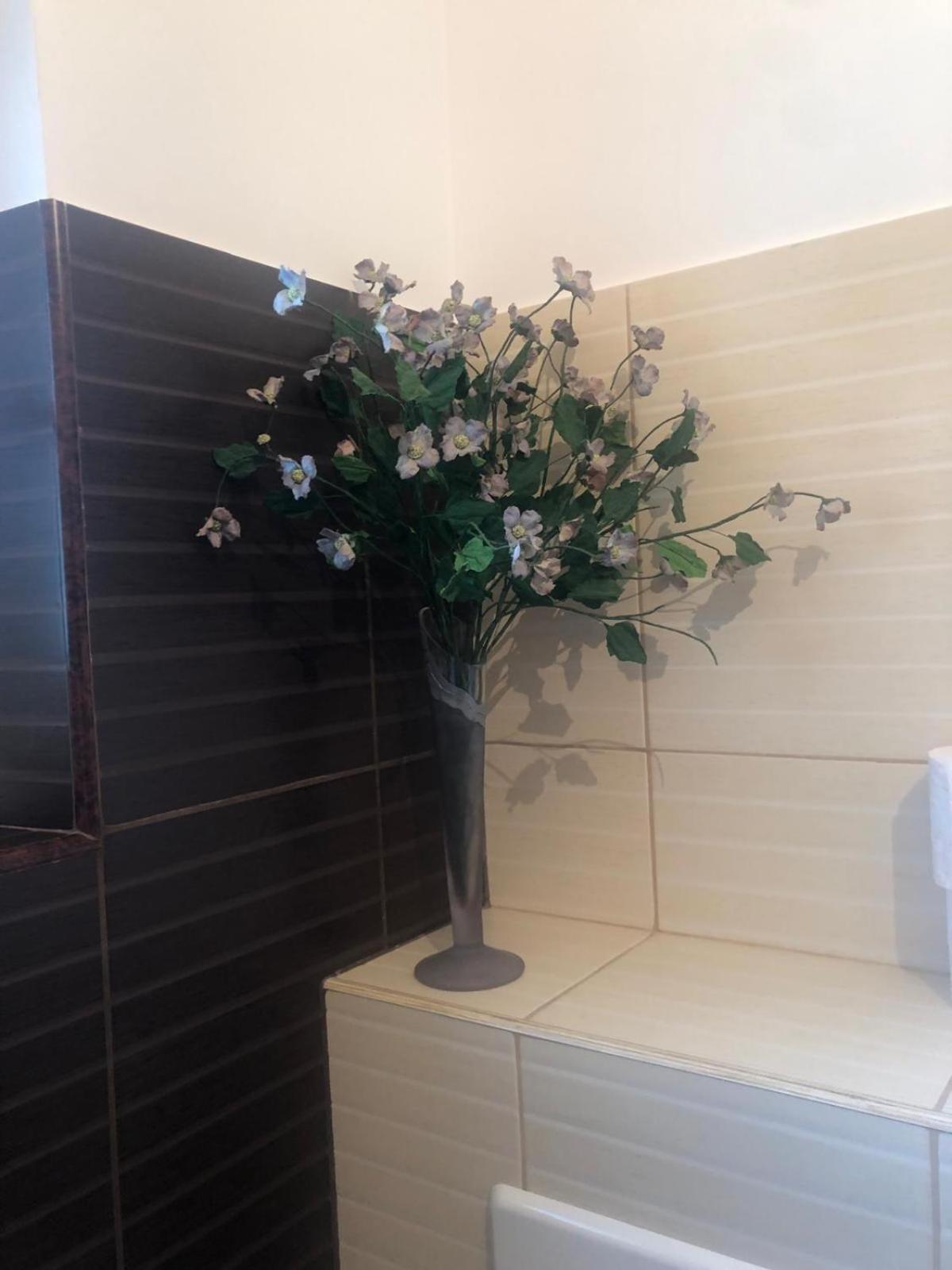 Apartament Cu 3 Camere La Poala Muntilor Fagaras Victoria  Exterior foto