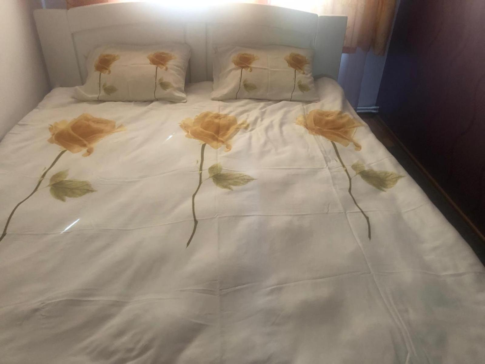 Apartament Cu 3 Camere La Poala Muntilor Fagaras Victoria  Exterior foto